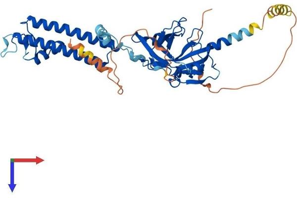 KCNJ14 Protein (AA 1-436) (His tag)