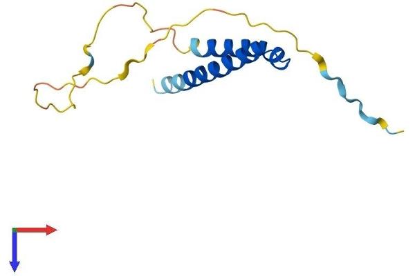CDK2AP2 Protein (AA 1-126) (His tag)