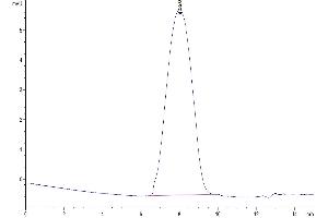 Size-exclusion chromatography-High Pressure Liquid Chromatography (SEC-HPLC) image for Glypican 3 (GPC3) (AA 25-559) protein (His tag) (ABIN7274774)
