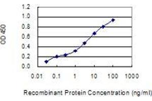 Detection limit for recombinant GST tagged MED13L is 0. (MED13L Antikörper  (AA 1186-1285))