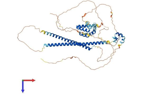 RUNX1T1 Protein (AA 1-577) (His tag)