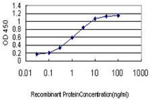 Detection limit for recombinant GST tagged ING1 is approximately 0. (ING1 Antikörper  (AA 41-140))