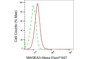 Flow cytometric analysis of MAGEA3 expression in HeLa cells using MAGEA3 antibody (ABIN7799357), 1:2,000). (MAGEA3 Antikörper)