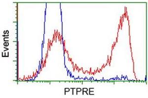 HEK293T cells transfected with either RC207950 overexpress plasmid (Red) or empty vector control plasmid (Blue) were immunostained by anti-PTPRE antibody (ABIN2453552), and then analyzed by flow cytometry. (PTPRE Antikörper)