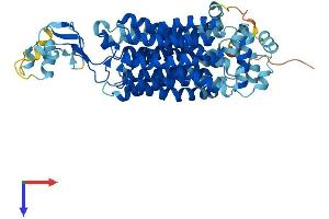 SLC22A12 Protein (AA 1-553) (His tag)