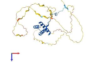 HOXA4 Protein (AA 1-285) (His tag)