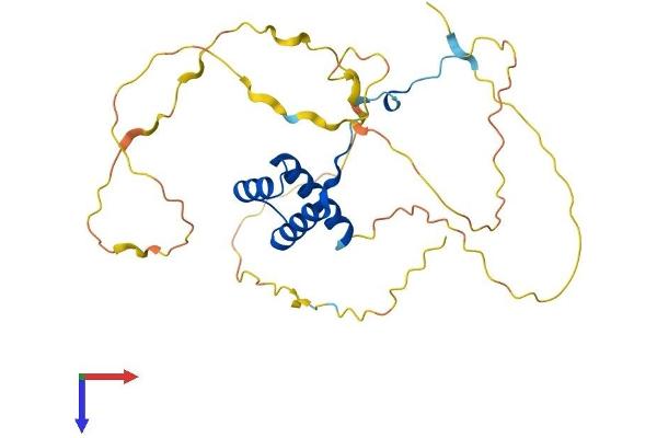 HOXA4 Protein (AA 1-285) (His tag)