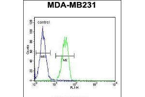 Flow cytometric analysis of MDA-MB231 cells (right histogram) compared to a negative control cell (left histogram).