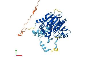 Protein Structure (PS) image for Abhydrolase Domain Containing 5 (ABHD5) (AA 1-351) protein (His tag) (ABIN7561287)