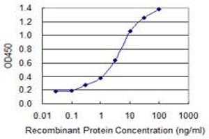 Detection limit for recombinant GST tagged ZNF287 is 0. (ZNF287 Antikörper  (AA 231-330))