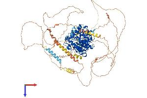 HDAC7 Protein (AA 1-938) (His tag)