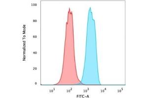 Flow Cytometric Analysis of PFA-fixed permeabilised MCF-7 cells using FOXA1 Mouse Recombinant Monoclonal Antibody (rFOXA1/1515). (Rekombinanter FOXA1 Antikörper  (AA 372-472))