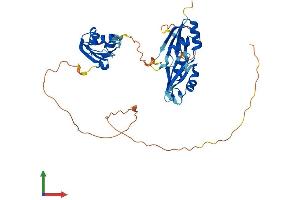 Protein Structure (PS) image for TIA1 Cytotoxic Granule-Associated RNA Binding Protein (TIA1) (AA 1-386) protein (His tag) (ABIN7563424)
