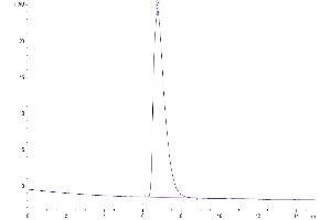 Size-exclusion chromatography-High Pressure Liquid Chromatography (SEC-HPLC) image for SLAM Family Member 7 (SLAMF7) (AA 23-226) protein (His-Avi Tag) (ABIN7275632)