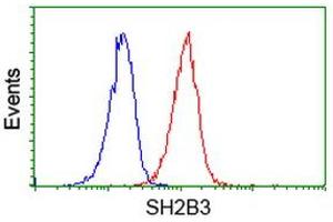 Image no. 1 for anti-SH2B Adaptor Protein 3 (SH2B3) antibody (ABIN1500908)
