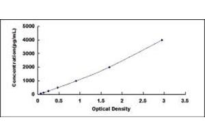 Typical standard curve (LRP1 ELISA Kit)