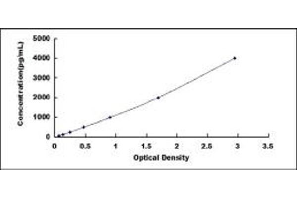 LRP1 ELISA Kit