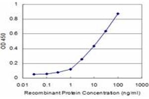 Detection limit for recombinant GST tagged PRKCD is approximately 1ng/ml as a capture antibody. (PKC delta Antikörper  (AA 577-676))