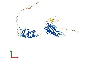 Protein Structure (PS) image for Potassium Channel Tetramerisation Domain Containing 13 (KCTD13) (AA 1-329) protein (His tag) (ABIN7558586)