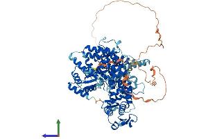 AlphaFold protein structure predicition of Human Recombinant HECTD2 Protein, UniprotID Q5U5R9
