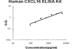 Human CXCL16 EZ Set ELISA Kit standard curve