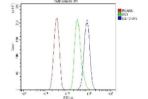 Flow Cytometry analysis of HEPA1-6 cells using anti- EEF2 antibody (ABIN7603141). (EEF2 Antikörper  (N-Term))