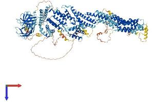CADPS Protein (AA 1-1353) (His tag)