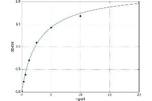 Myxovirus Resistance Protein 1 (MX1) ELISA Kit
