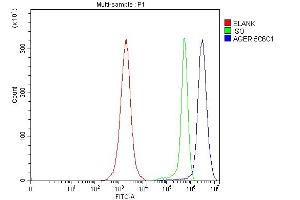 Flow Cytometry analysis of Jurkat cells using anti-RAGE/AGER antibody (ABIN7603153). (RAGE Antikörper  (N-Term))