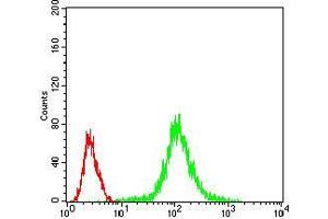 Flow Cytometry (FACS) image for anti-Protein Phosphatase 1, Catalytic Subunit, beta Isoform (PPP1CB) (AA 174-327) antibody (ABIN5542354)
