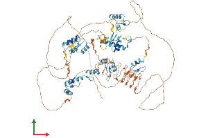 AlphaFold protein structure predicition of Human Recombinant ZNF512B Protein, UniprotID Q96KM6