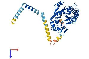 PPM1L Protein (AA 1-360) (His tag)
