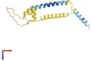 F162A Protein (AA 1-154) (His tag)