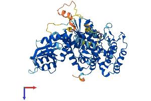 STXBP3 Protein (AA 1-592) (His tag)
