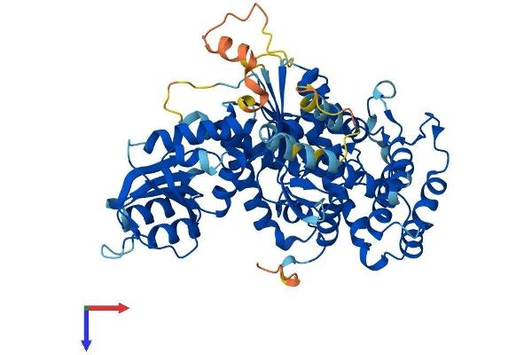 STXBP3 Protein (AA 1-592) (His tag)