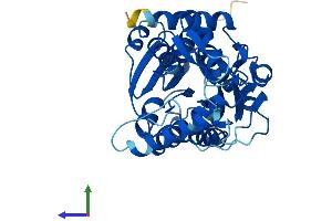 Protein Structure (PS) image for Hydroxy-delta-5-Steroid Dehydrogenase, 3 beta- and Steroid delta-Isomerase 7 (HSD3B7) (AA 1-369) protein (His tag) (ABIN7561394)
