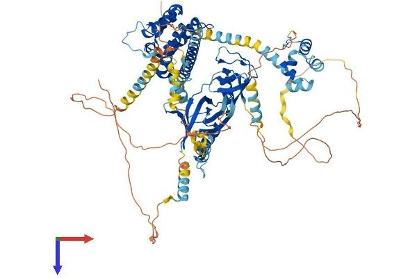 EPS8 Protein (AA 1-821) (His tag)