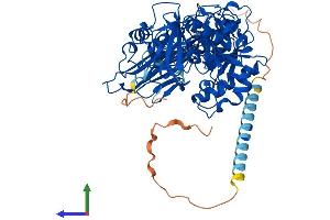 AlphaFold protein structure predicition of Mouse Recombinant Pomgnt1 Protein, UniprotID Q91X88