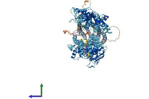 Protein Structure (PS) image for ATP-Binding Cassette, Sub-Family C (CFTR/MRP), Member 4 (ABCC4) (AA 1-1325) protein (His tag) (ABIN7554631)