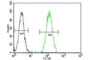 Flow Cytometry (FACS) image for anti-Bone Morphogenetic Protein 2 (BMP2) (AA 260-289) antibody (ABIN3028512)