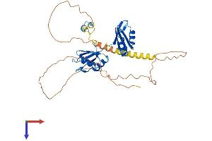 RBM4 Protein (AA 1-364) (His tag)