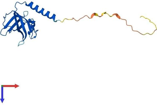 TEN1 Protein (AA 1-161) (His tag)