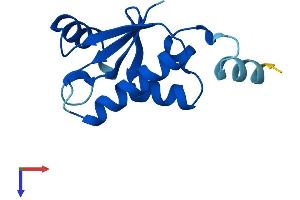 SH3BGRL Protein (AA 1-114) (His tag)