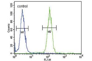 Flow Cytometry (FACS) image for anti-Nuclear Receptor Coactivator 7 (NCOA7) antibody (ABIN3004220) (NCOA7 Antikörper)