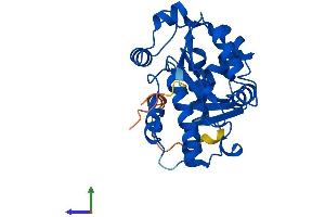 Protein Structure (PS) image for CCR4-NOT Transcription Complex, Subunit 7 (CNOT7) (AA 1-285) protein (His tag) (ABIN7553487)