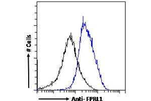 ABIN185502 Flow cytometric analysis of paraformaldehyde fixed K562 cells (blue line), permeabilized with 0.