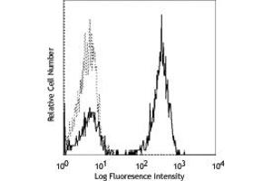 Image no. 1 for anti-CD3 (CD3) antibody (ABIN205331) (CD3 Antikörper)