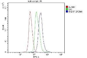 Flow Cytometry analysis of mouse spleen tissues using anti-Rad17 antibody (ABIN7599188).