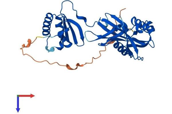 NUDT6 Protein (AA 1-316) (His tag)