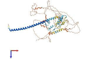AlphaFold protein structure predicition of Human Recombinant ZNF746 Protein, UniprotID Q6NUN9